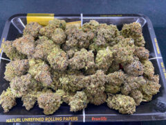 Cannabis flower buds on a tray, available at WeedboyFarm in โพธิ์, Si Sa Ket.