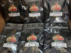 Weeder1988 cannabis flowers, including Purple Haze strain, in sealed bags. Pattaya, Thailand.