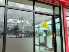 Weedipedia cannabis shop exterior, Yaek Sanamchai, Phetchabun, Thailand. Cannabis & plant products.