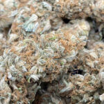 www.siamweeds.com