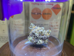 Cannabis flower, 