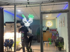 YumFree cannabis shop storefront in Nonthaburi, Thailand, featuring a neon cannabis logo.