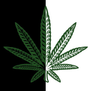 Green cannabis leaf graphic split vertically, left side black, right side white.