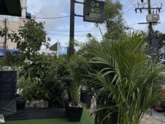 Exterior of Cannabis Factory weed shop in Rawai, Phuket, Thailand. Storefront greenery.