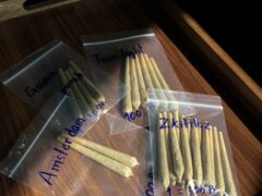 Cannabis Factory Phuket: Pre-rolled joints (Zkittlez, Guava Punch, Trim Light, Amsterdam) on tray. Weed for sale in Rawai, Thailand.