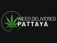 Weed Delivered Pattaya logo: cannabis leaf and text for weed delivery in Pattaya, Thailand.
