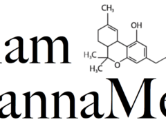 Siam CannaMed logo with THC molecule. Cannabis dispensary in Phang-nga, Thailand.