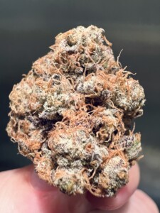 A dense, green, purple and orange cannabis bud with visible trichomes held between fingers.