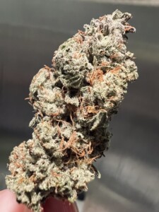 Close-up of a cannabis bud, showing trichomes, green and orange hairs, held by a finger against a dark background.