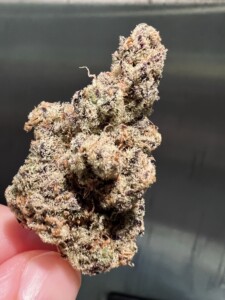 A close-up of a cannabis bud with visible trichomes, held between fingers, on a dark background.