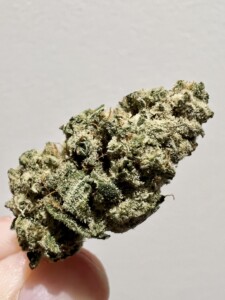 Close-up of a cannabis bud, green with white trichomes, being held by a hand.