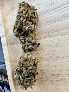 Three cannabis buds on a wooden surface.