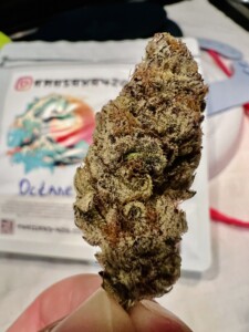 A dense, light brown cannabis bud is held in hand, set against a blurred white background with text.