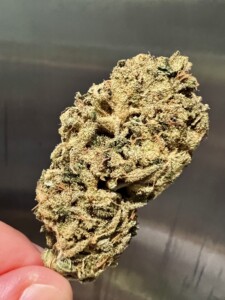 A dense cannabis bud held between a thumb and forefinger. The bud is green with amber and white trichomes.