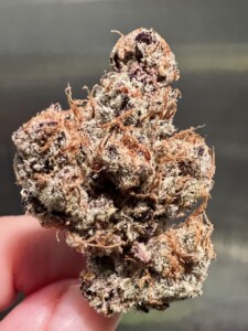 A hand holding a close-up of a cannabis bud with purple and brown hues covered in trichomes.
