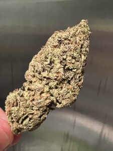 A close-up of a cannabis bud, held by a finger, against a neutral background. The bud is dense and textured, with shades of green, purple, and brown.