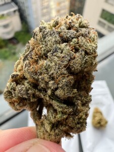A close-up of a cannabis flower bud, held by a hand, showcasing a dense, frosty appearance with visible trichomes.
