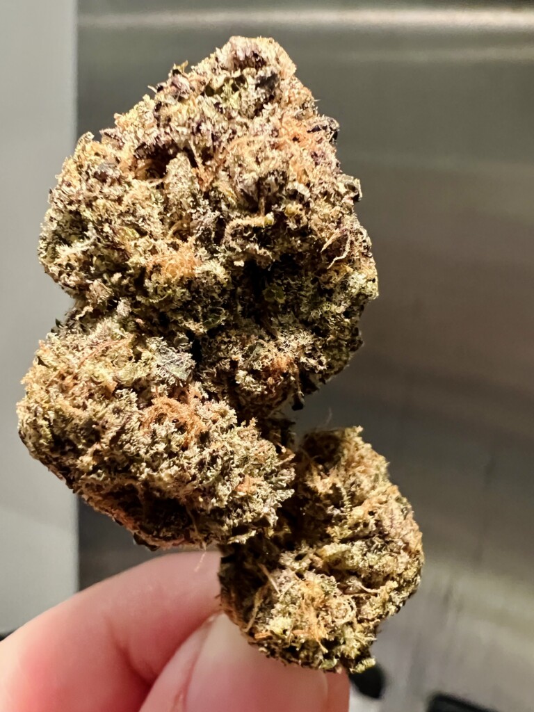 Bud of cannabis held between fingers, with textured green, purple, and orange highlights against a neutral background.