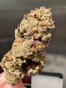 A close-up of a cannabis bud, covered in trichomes, with a neutral background.