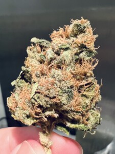 A close-up of a cannabis bud, held by a person's fingers, displaying green and orange colors.