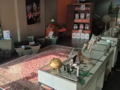 Interior of Greeenfields Cannabis Shop in Hua Hin, Thailand, featuring cannabis flower displays and grow systems.
