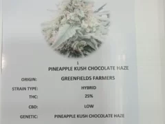 Pineapple Kush Chocolate Haze cannabis flower strain at Greeenfields dispensary, Hua Hin, Thailand.
