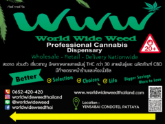 World Wide Weed cannabis dispensary sign in Pattaya, Thailand. Weed, THC, CBD products.