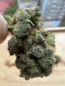 Close-up of a large, frosted cannabis flower bud.