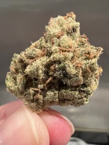 Finger holding a marijuana bud.