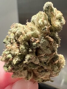 Close-up of a cannabis bud, green and white with tiny hairs.