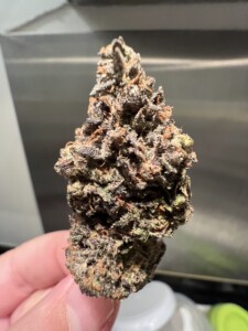A hand holding a dense, purple, brown, and green cannabis bud.