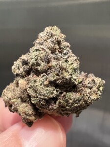 A close-up of a cannabis bud held between fingers, showing green and purple tones, and a white coating.