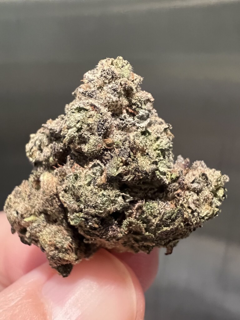 A close-up of a cannabis bud held between fingers, showing green and purple tones, and a white coating.