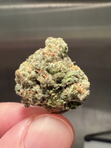 Finger holds a single green cannabis bud.