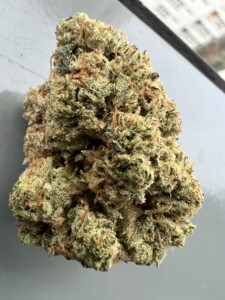 Close-up of a cannabis flower bud.