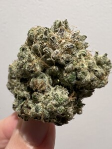 Close-up of a hand holding a cannabis flower bud.