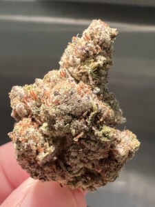 Close-up of a trichome-covered cannabis bud held by a finger.