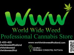 World Wide Weed cannabis shop logo, located in Yensabai Condotel, Pattaya, Thailand. Find cannabis flower and CBD here.