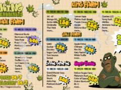 King Cannabis Jomtien menu listing cannabis strains: Lemon Haze, Amnesia Haze, and more. Pattaya, Thailand.
