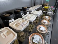 Cannabis flower jars at KING CANNABIS, Jomtien, Pattaya, Thailand. Weed shop with various cannabis strains.