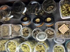 Cannabis flower jars at KING CANNABIS (Jomtien), Pattaya City, Thailand.