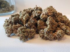 Cannabis flower buds on white surface, Phi Phi Weed Shop, Koh Phi Phi, Thailand.