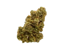 Cannabis bud, green and orange, on a black background.