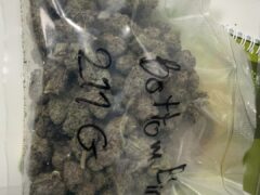 Cannabis flower in a bag labeled 