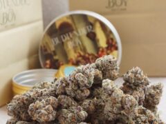 Cannabis flower from BUDTENDER BOY weed shop in Khan Na Yao, Bangkok.