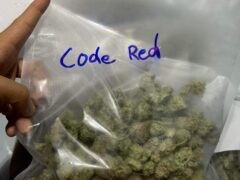 Cannabis buds in a bag, labeled 