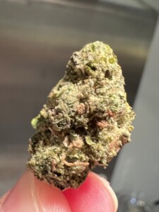 Close-up of a finger holding a cannabis bud.