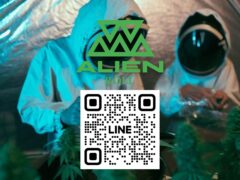 Alien Roll cannabis grow op, Pathum Thani, Thailand, featuring cannabis plants and workers in suits with QR code.