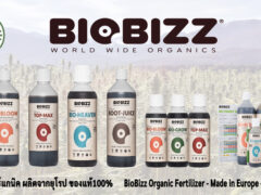 BioBizz organic fertilizer for cannabis, products from Siam-Cuttings.