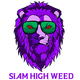 Purple lion illustration with green sunglasses.